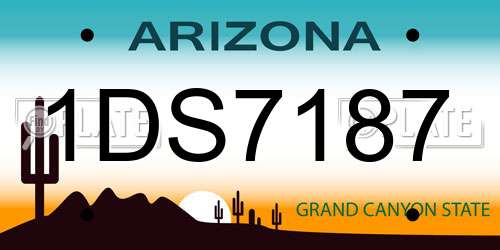 1DS7187 Arizona License Plate
