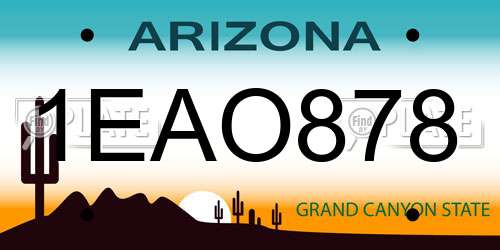 1EAO878 Arizona License Plate