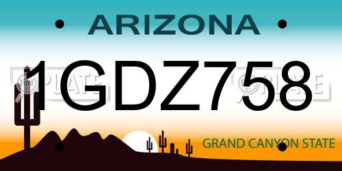 1GDZ758 Arizona License Plate