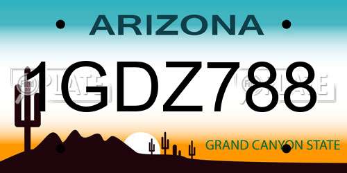 1GDZ788 Arizona License Plate