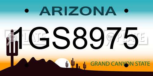 1GS8975 Arizona License Plate