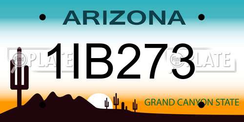 1IB273 Arizona License Plate