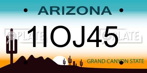 1IOJ45 Arizona License Plate