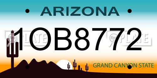 1OB8772 Arizona License Plate