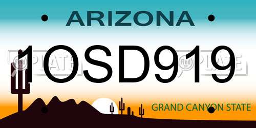 1OSD919 Arizona License Plate