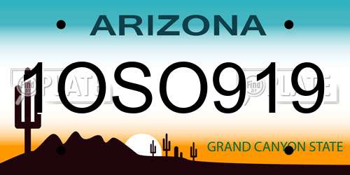 1OSO919 Arizona License Plate