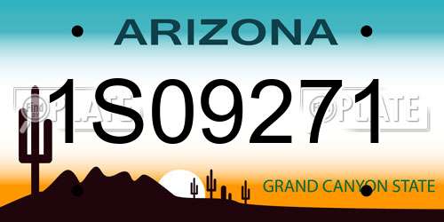 1S09271 Arizona License Plate