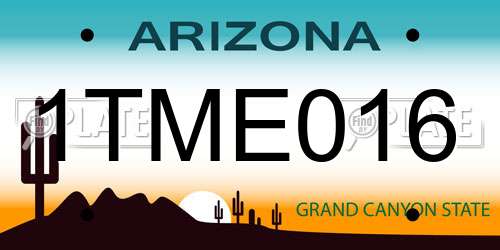 1TME016 Arizona License Plate