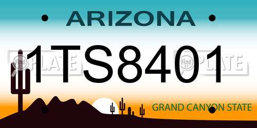 1TS8401 Arizona License Plate