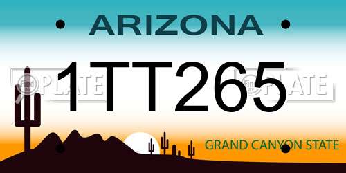 1TT265 Arizona License Plate