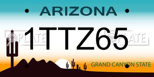 1TTZ65 Arizona License Plate