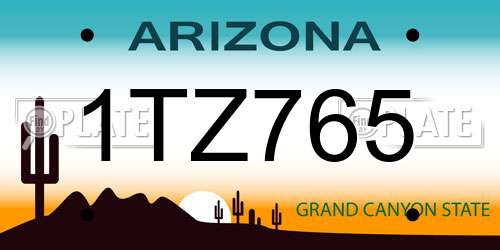 1TZ765 Arizona License Plate