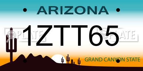 1ZTT65 Arizona License Plate