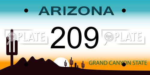 209 Arizona License Plate