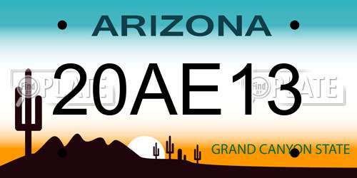 20AE13 Arizona License Plate