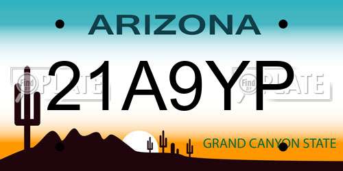 21A9YP Arizona License Plate