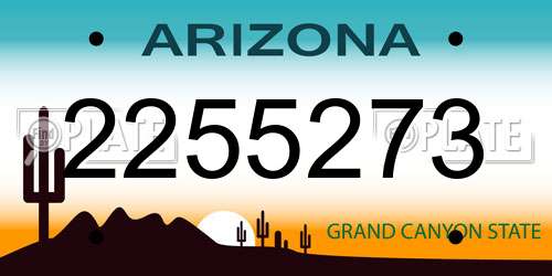 2255273 Arizona License Plate