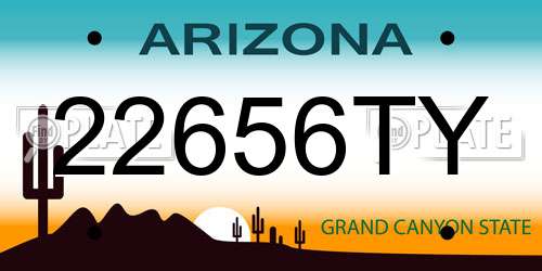 22656TY Arizona License Plate