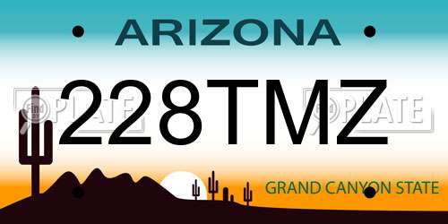 228TMZ Arizona License Plate