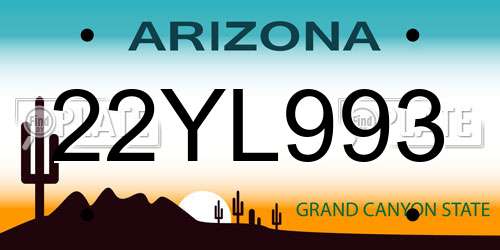 22YL993 Arizona License Plate