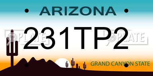 231TP2 Arizona License Plate