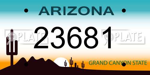 23681 Arizona License Plate