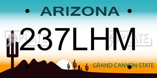 237LHM Arizona License Plate