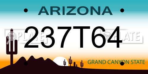 237T64 Arizona License Plate