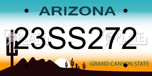 23SS272 Arizona License Plate