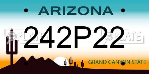 242P22 Arizona License Plate