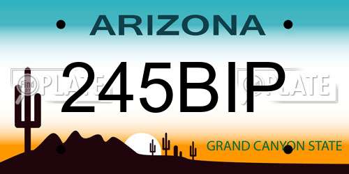 245BIP Arizona License Plate