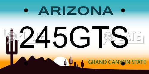 245GTS Arizona License Plate