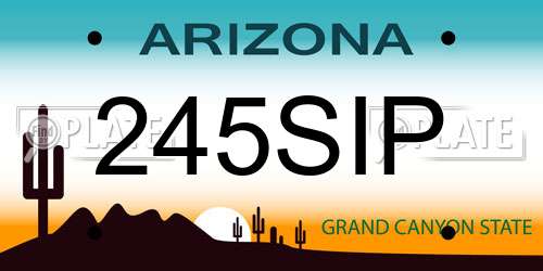 245SIP Arizona License Plate