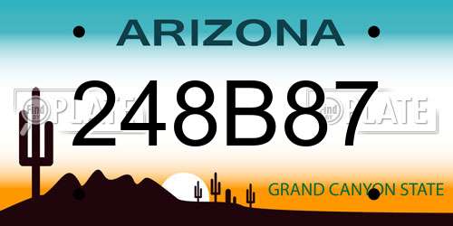 248B87 Arizona License Plate
