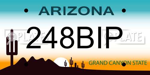 248BIP Arizona License Plate