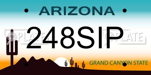 248SIP Arizona License Plate