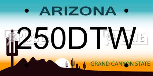 250DTW Arizona License Plate