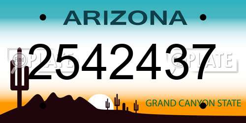 2542437 Arizona License Plate