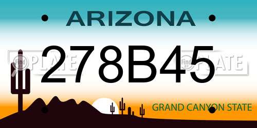 278B45 Arizona License Plate