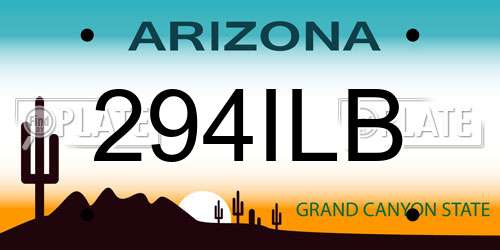 294ILB Arizona License Plate