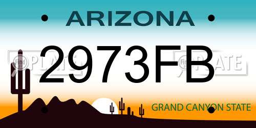 2973FB Arizona License Plate