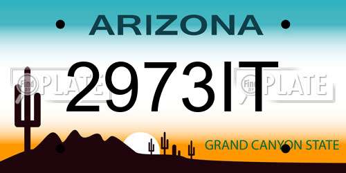 2973IT Arizona License Plate