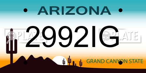 2992IG Arizona License Plate