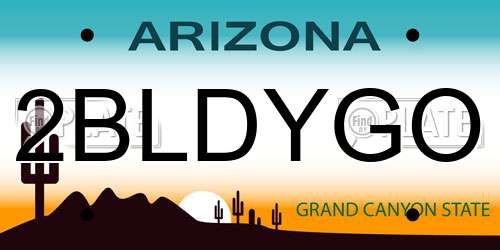 2BLDYGO Arizona License Plate