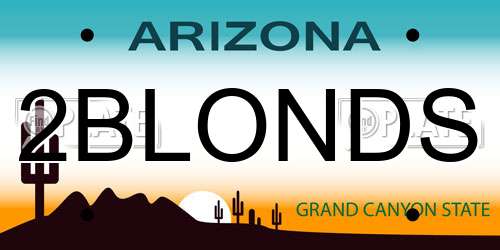 2BLONDS Arizona License Plate