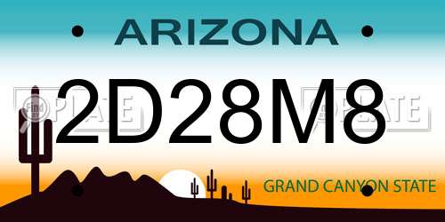 2D28M8 Arizona License Plate