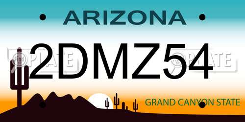 2DMZ54 Arizona License Plate