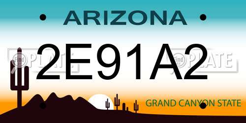 2E91A2 Arizona License Plate
