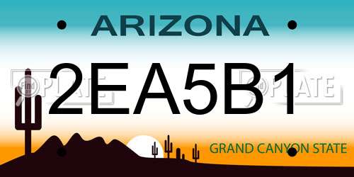 2EA5B1 Arizona License Plate
