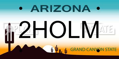 2HOLM Arizona License Plate